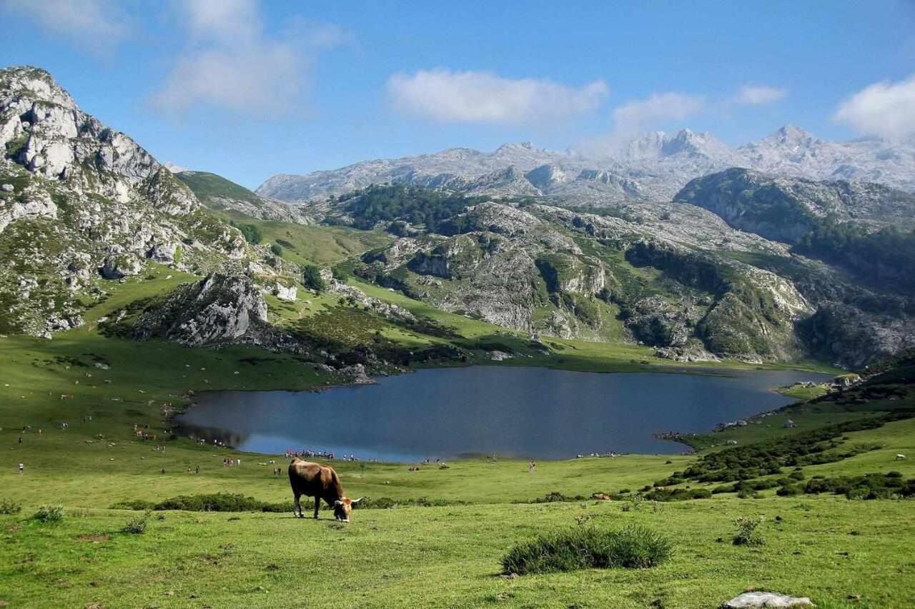 Orelleiru Casa Rural La Carrozal Senda Del Oso المظهر الخارجي الصورة