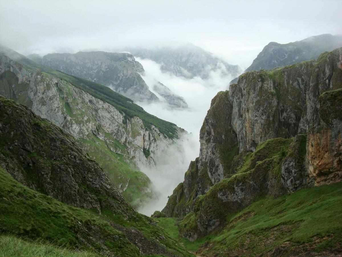 Orelleiru Casa Rural La Carrozal Senda Del Oso المظهر الخارجي الصورة