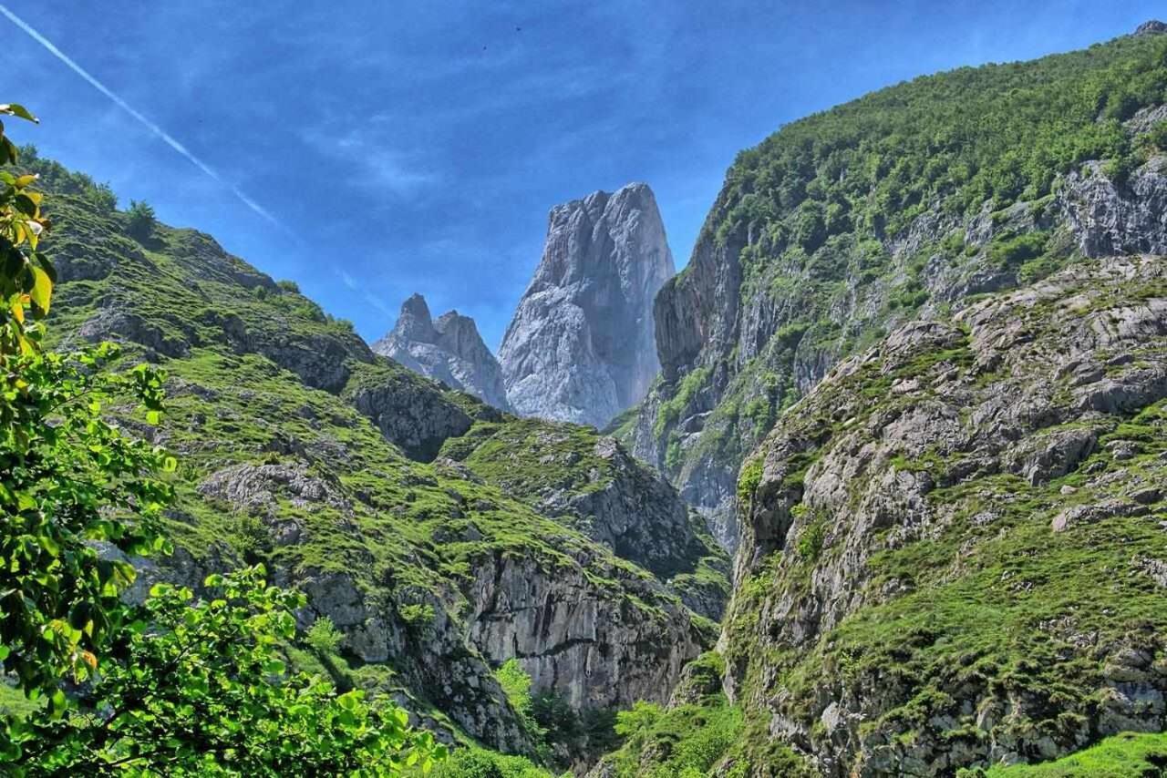 Orelleiru Casa Rural La Carrozal Senda Del Oso المظهر الخارجي الصورة